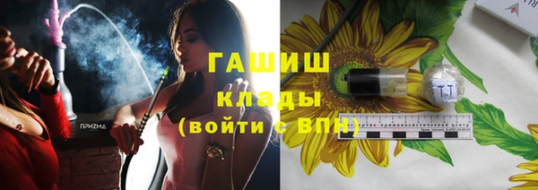 2c-b Ельня