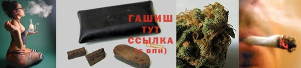 2c-b Ельня
