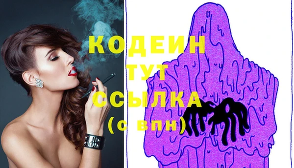 2c-b Ельня