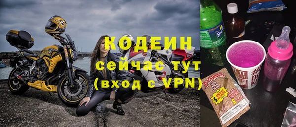 2c-b Ельня