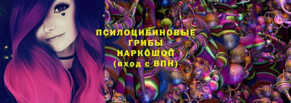 2c-b Ельня