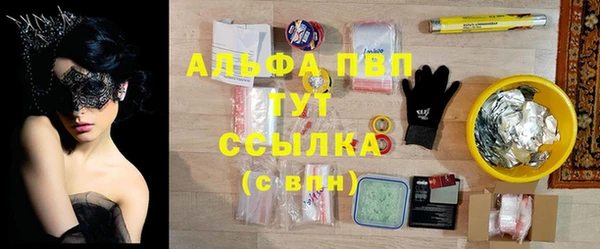 2c-b Ельня