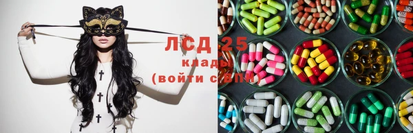 2c-b Ельня