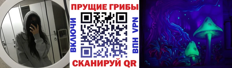 Псилоцибиновые грибы мухоморы  Купить где  Княгинино 